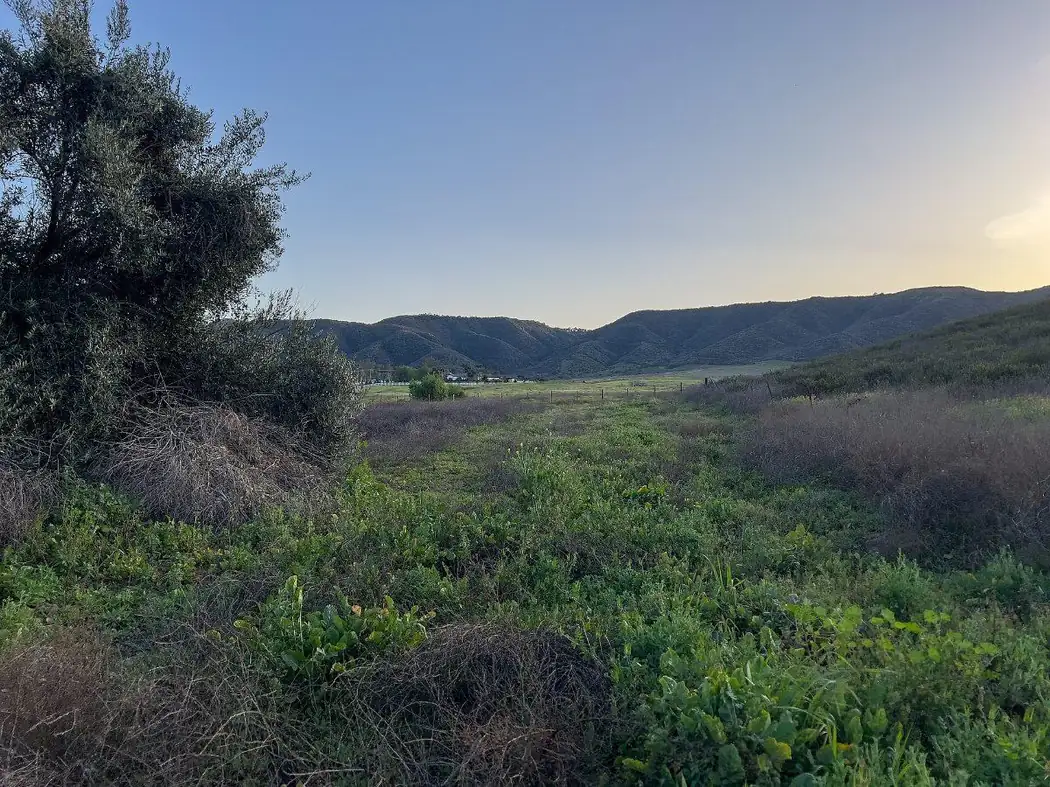 Open grassland and hills of the Santa Rosa Plateau seen from Murrieta, California